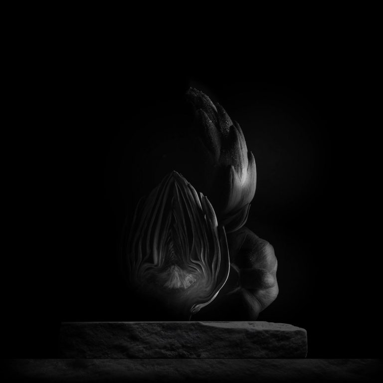 Studio Photographe Culinaire - Sylvain Madelon