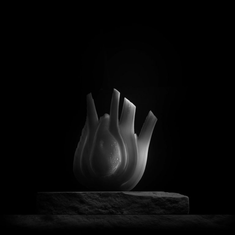 Studio Photographe Culinaire - Sylvain Madelon