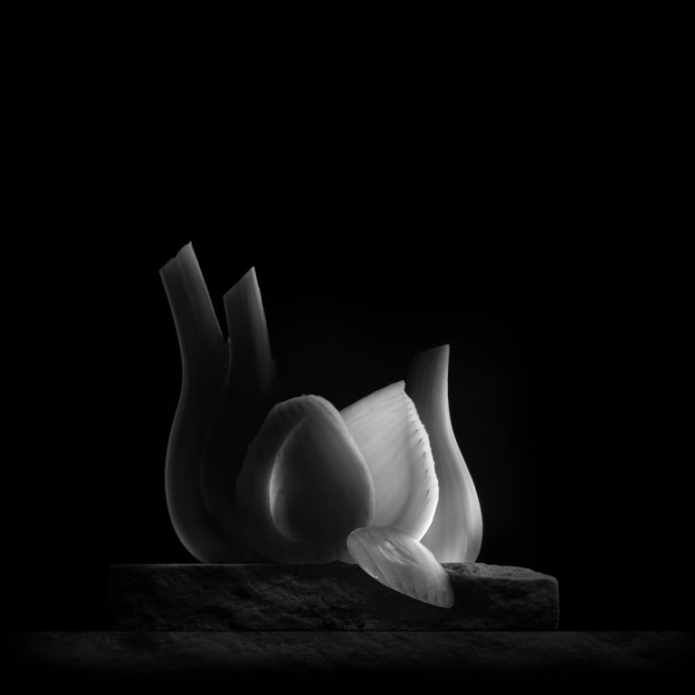 Studio Photographe Culinaire - Sylvain Madelon